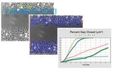 QQ&aring;?&frac34;&ccedil;??20190318144814 3 &eacute;?&raquo;&aelig;??&iuml;&frac14;?&aring;?&uml;&ccedil;?&sup1;&aring;&reg;?&aring;?&ordm;&aring;??&aring;??&ccedil;?&uml;&ccedil;?&micro;&aring;??&aring;?&raquo;&eacute;?&curren;&ccedil;&raquo;?&egrave;??.png
