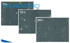 QQ&aring;?&frac34;&ccedil;??20190318144753 2 &aelig;&acute;&raquo;&ccedil;&raquo;?&egrave;??&aelig;??&aring;??.png